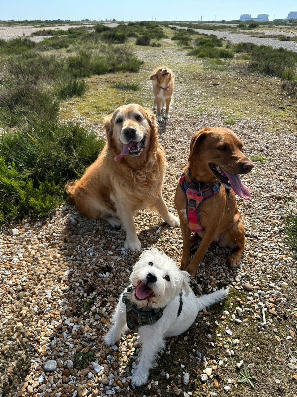 6c12acf3-a31c-4a00-b8db-8f5c600c5bd4