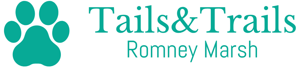 High-Resolution-Color-Logo-on-Transparent-Background-1