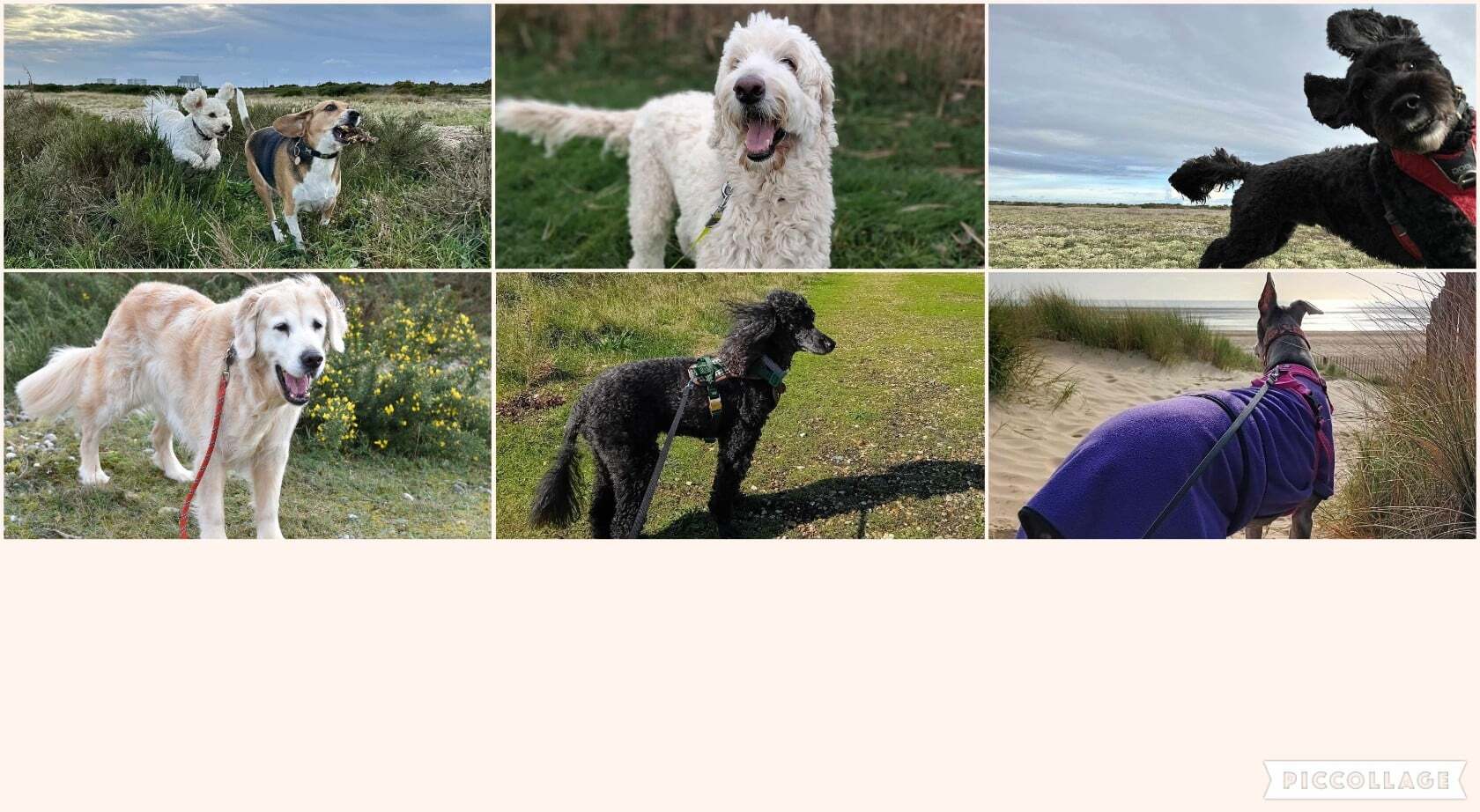 att.ekqdEZhy9Esdly2OabGaPX7rJCa97i85Han5wR0_3rY