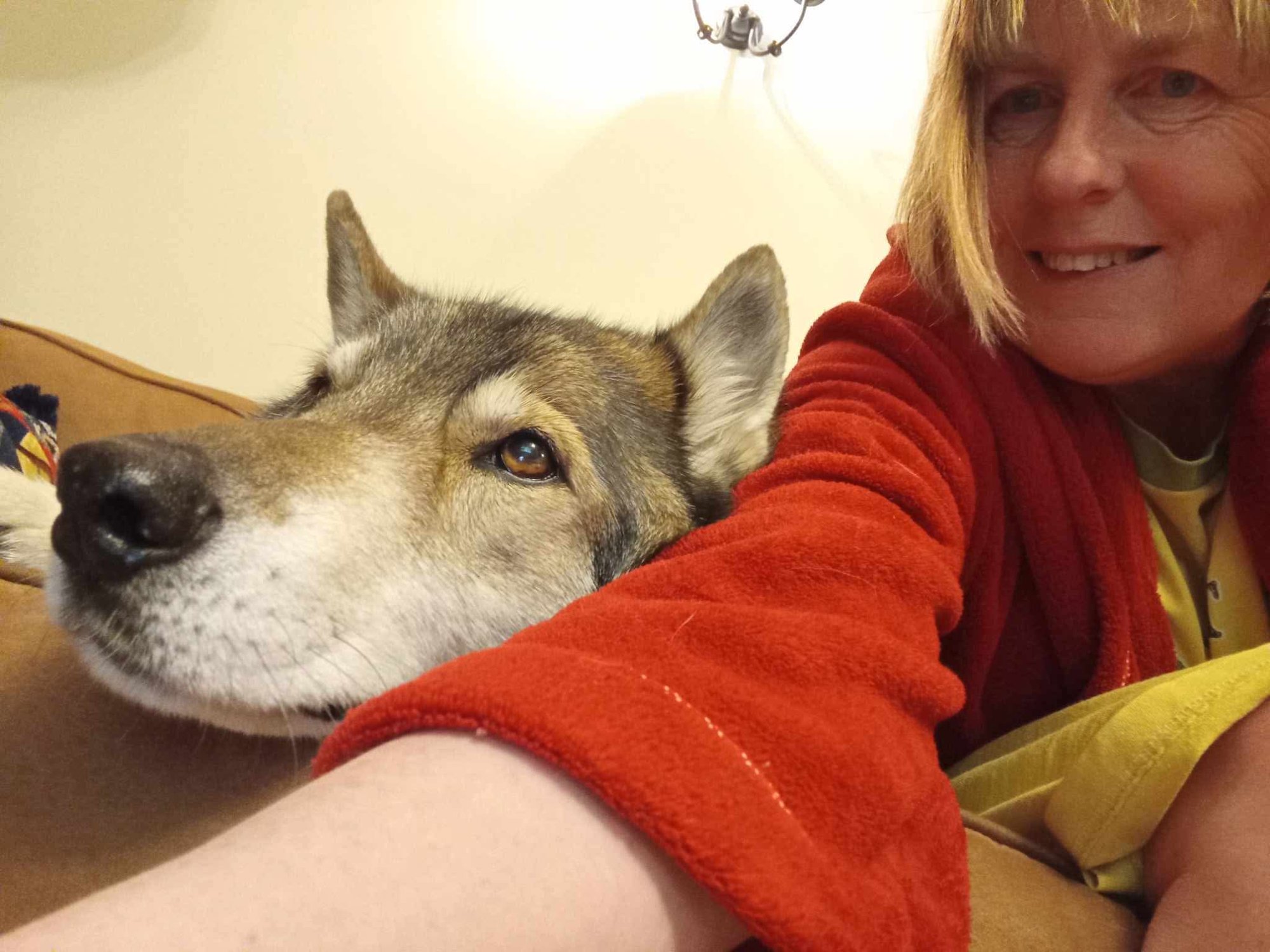 d0dc97ce70759028ce7a98221014c754